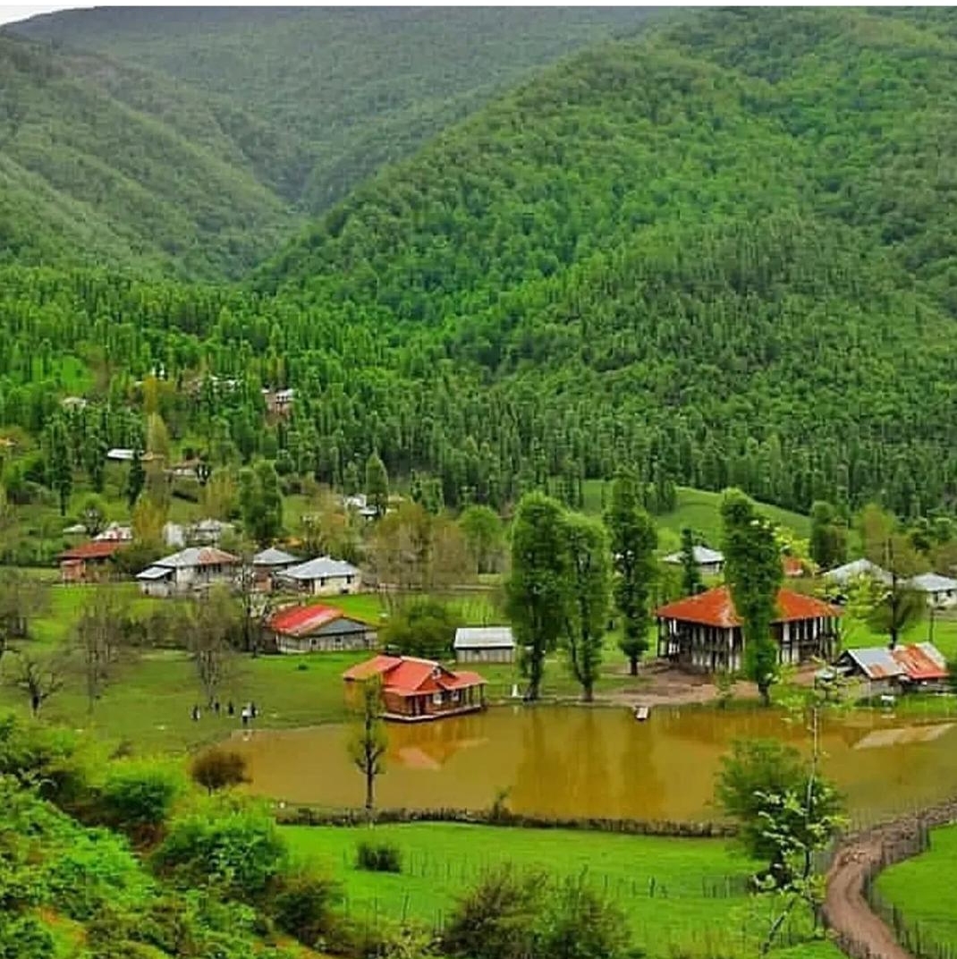 اجاره ویلا کلبه جنگلی نیک اندیش در رودبار استخرگاه